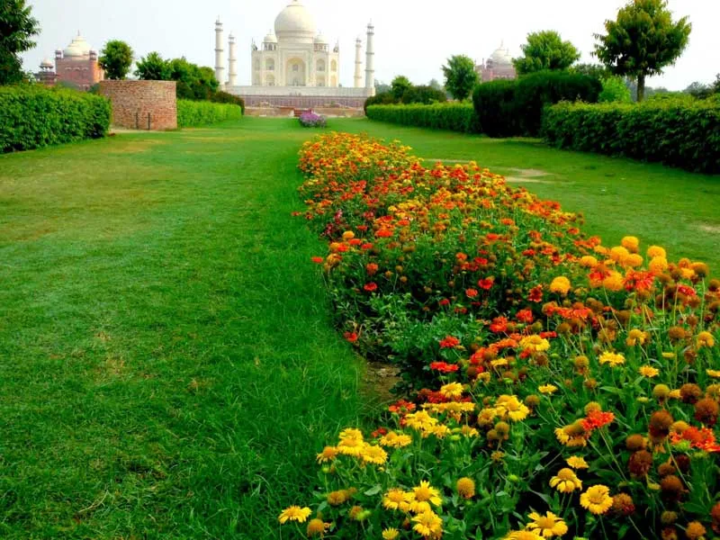 Taj Mahal tour packages